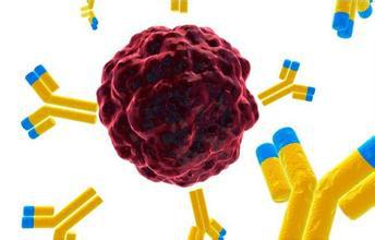 Biosynex[(bio)ӛٙzyԇУzw𷨣