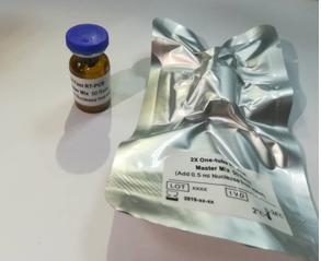 Hotstart RT-PCRA(y)Һ